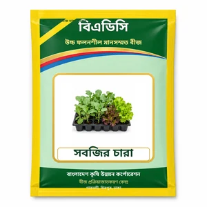 Vegetable Seedlings