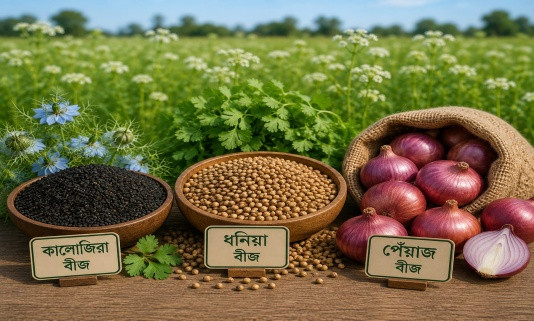 Spice Seed