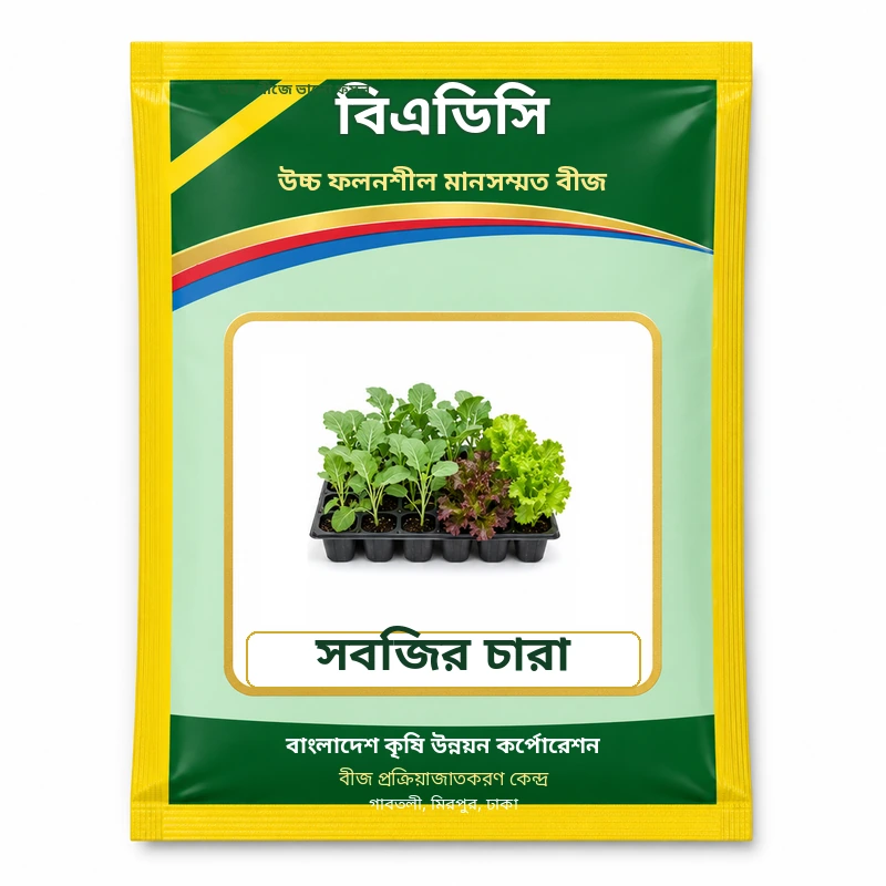 Vegetable Seedlings