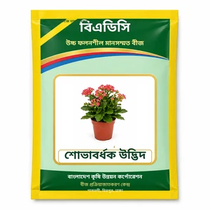 Ornamental Plant