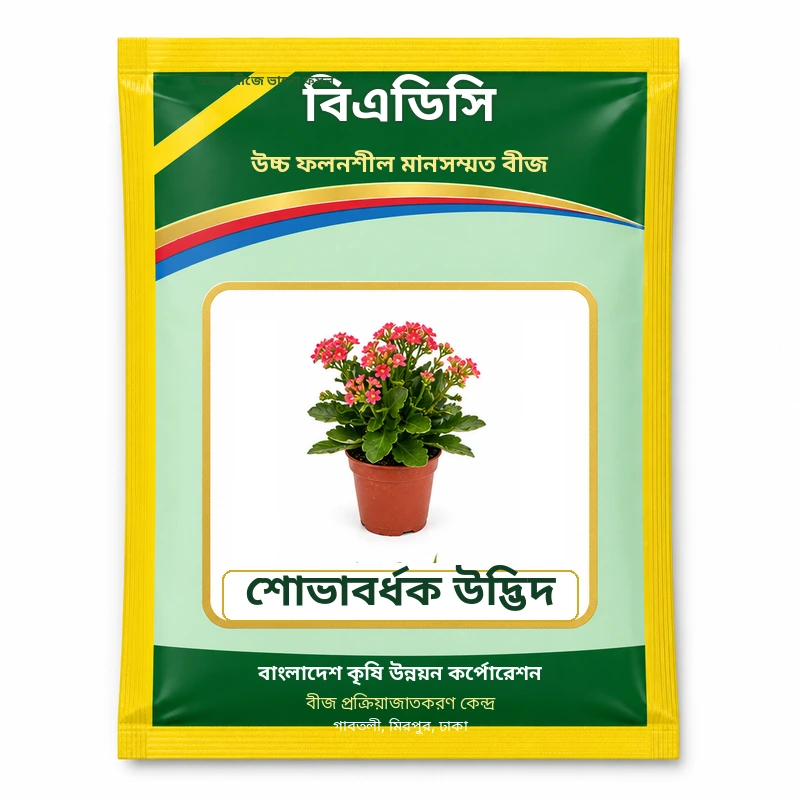 Ornamental Plant