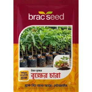 Tree Seedlings