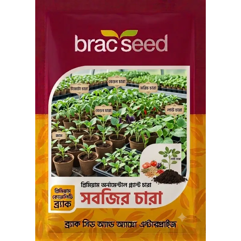 Vegetable Seedlings