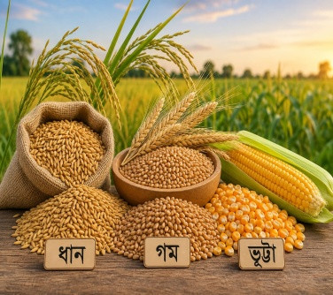 Seed Distribution