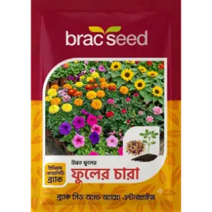 Flower Seedlings