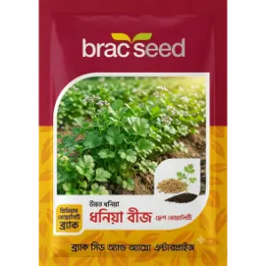 Coriander Seed