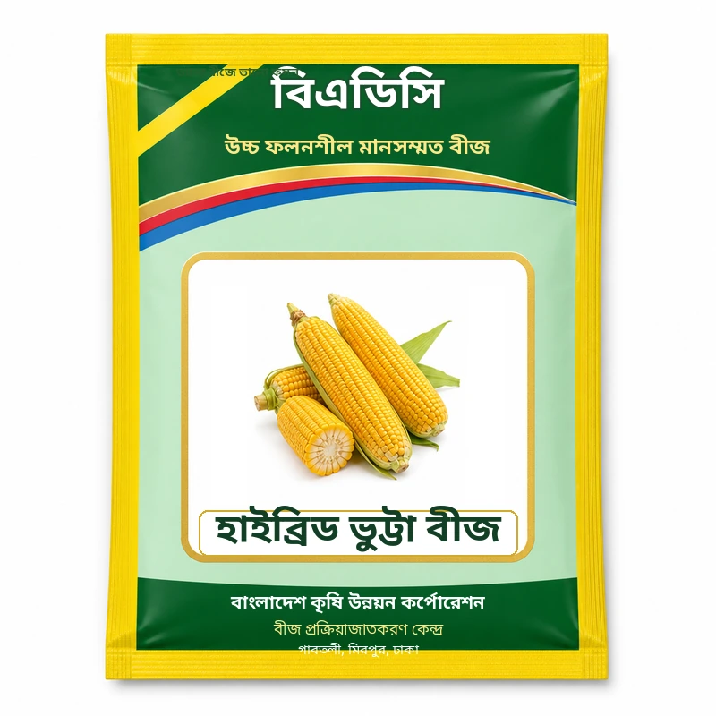 Hybrid Maize Seed