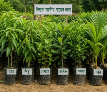 Horticulture Development