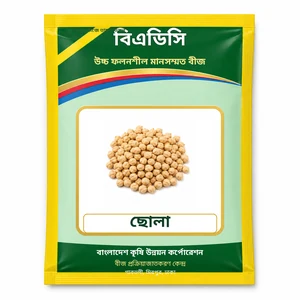 Chickpea