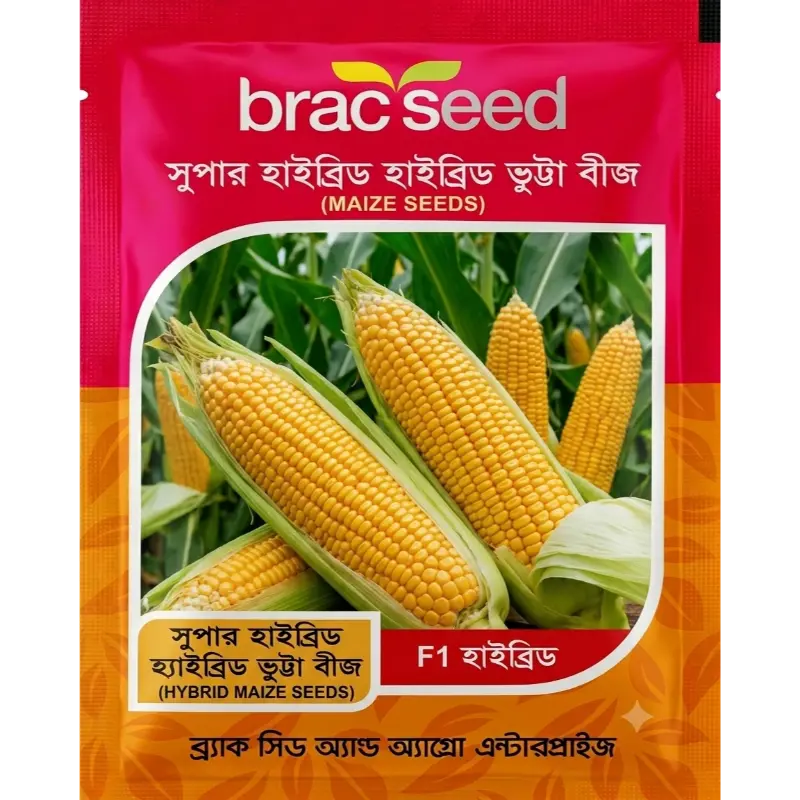 Hybrid Maize Seed