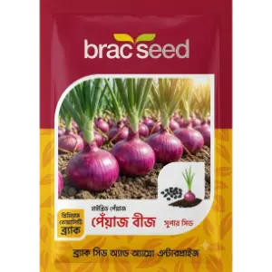 Onion Seed