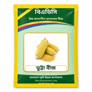 Maize Seed