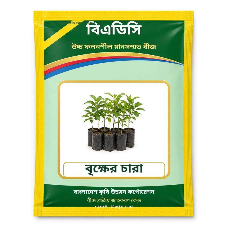 Tree Seedlings