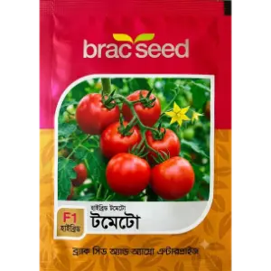 Tomato
