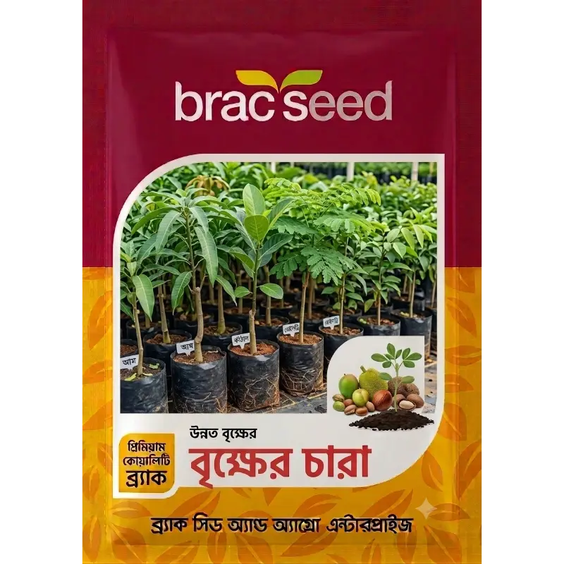 Tree Seedlings