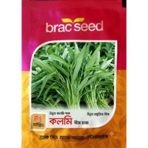 Water Spinach