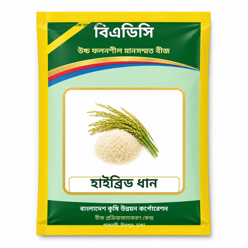 Hybrid Rice