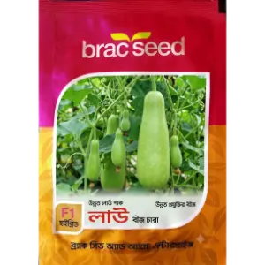 Bottle Gourd