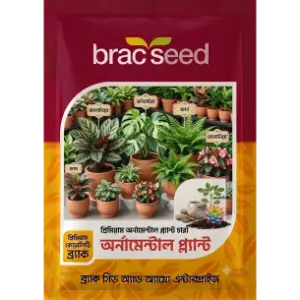 Ornamental Plant