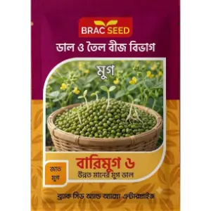 Mung Bean