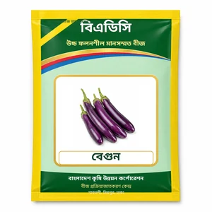 Brinjal