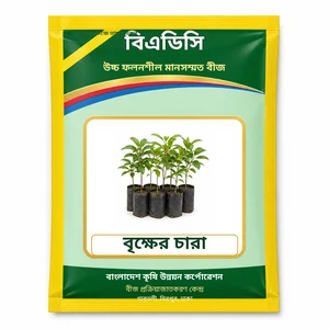 Tree Seedlings