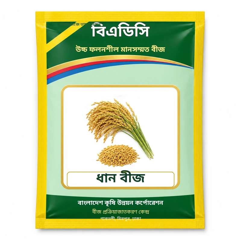 Rice Seed