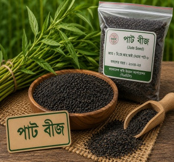 Jute Seed